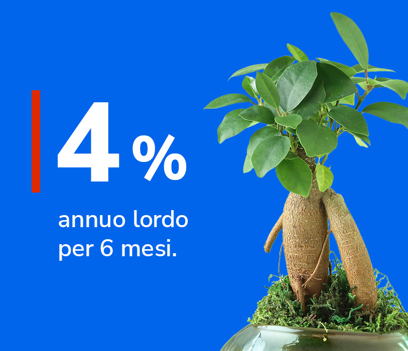 Tasso 4% annuo lordo per 6 mesi vicino ad un ficus.